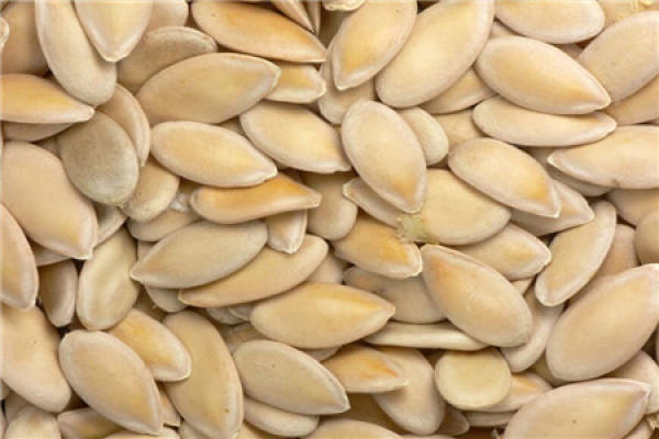 Seed