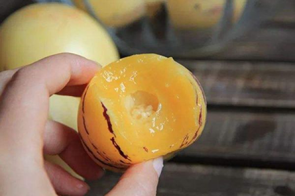 Ginseng fruit