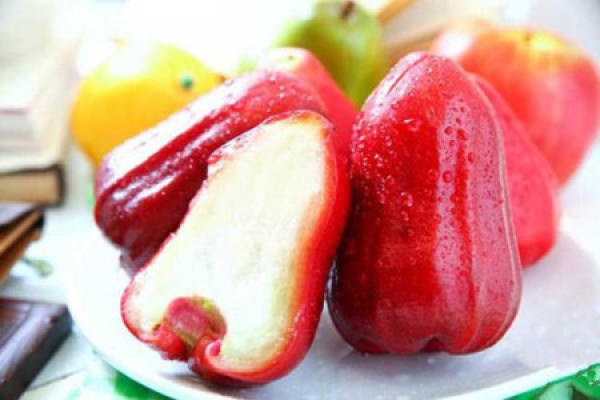 Wax apple
