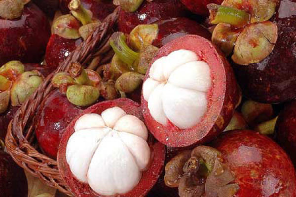 Mangosteen