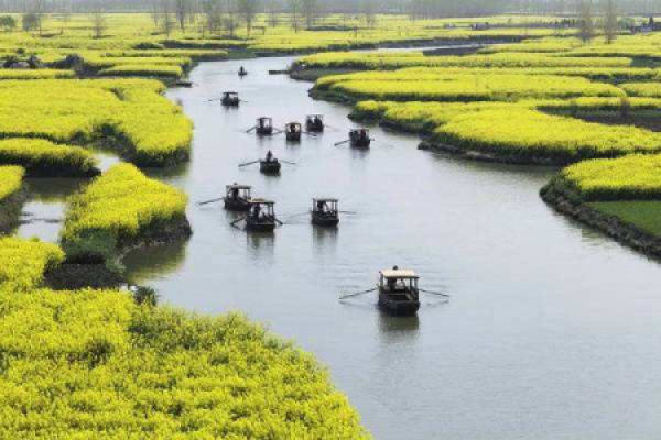 land of fish and rice