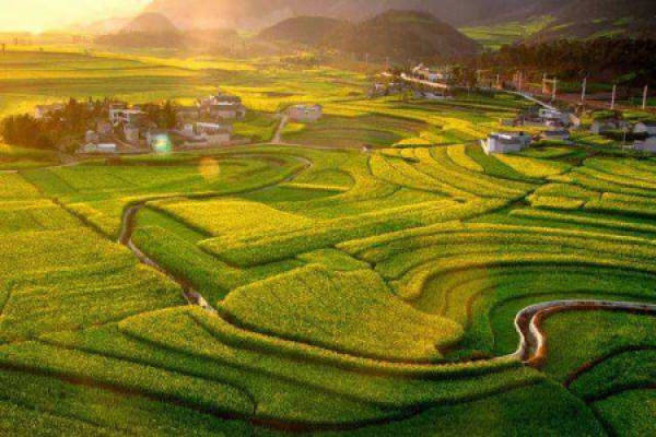 A land of fish and rice