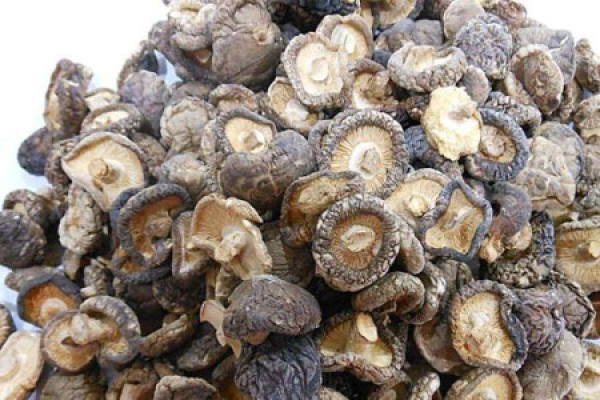 Dried mushroom