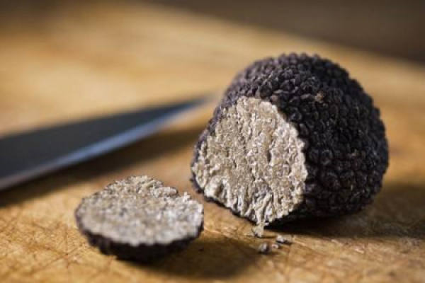 truffle