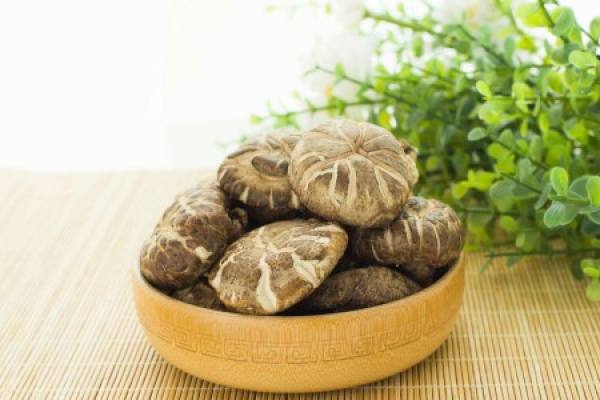 mushroom