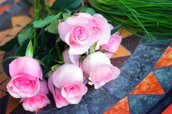 Pink Rose