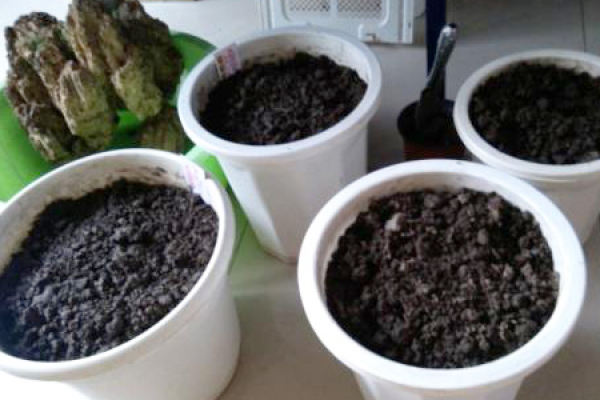 Flowerpots