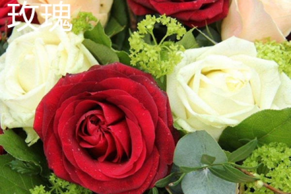 rose