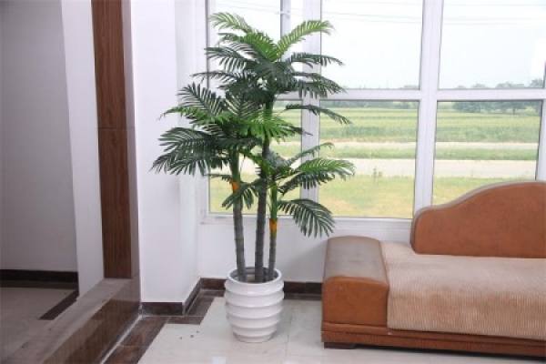 sunflower in living room