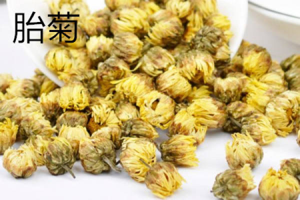 Foetus Chrysanthemum