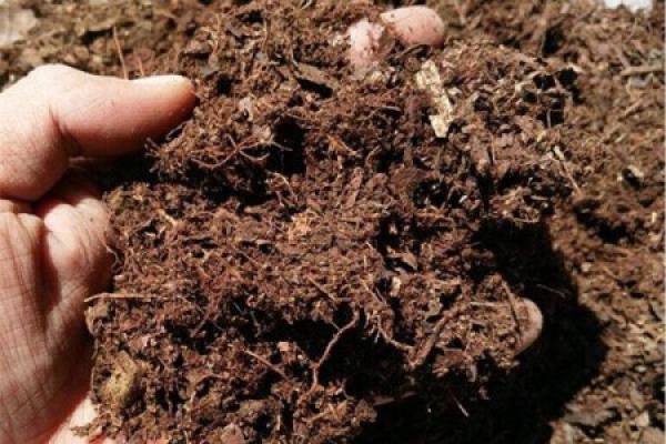 soil