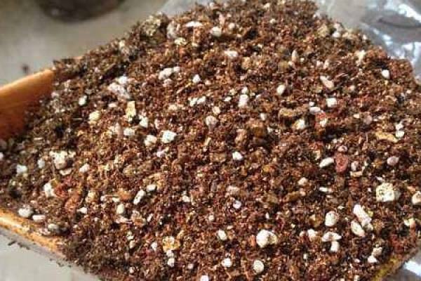 Suitable soil for flower