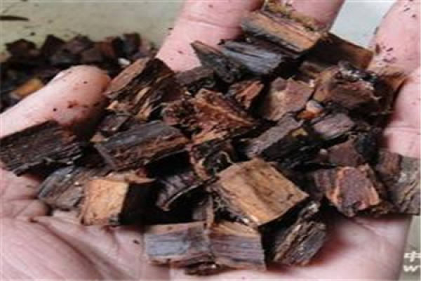 Willow Bark