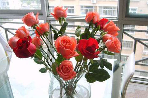rose