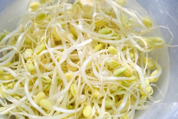 bean sprouts
