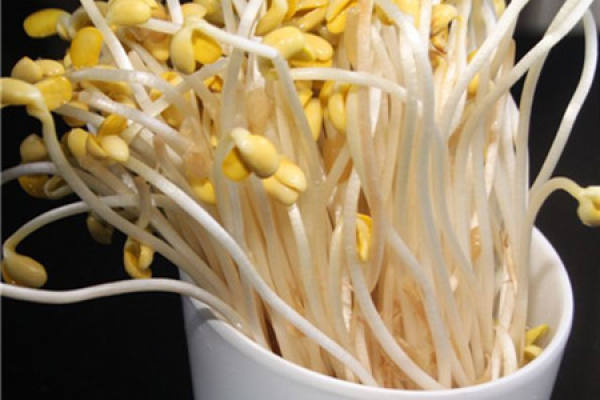 Bean sprouts