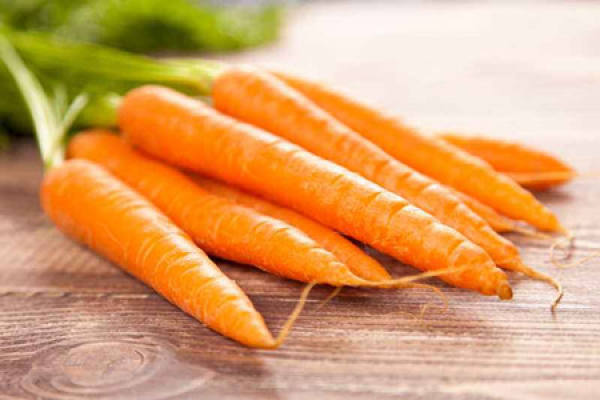 carrot