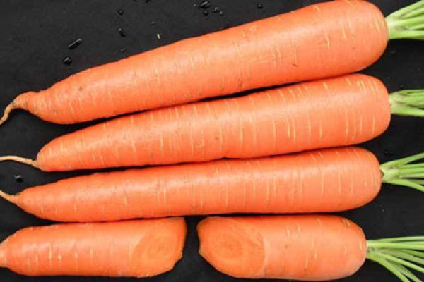 Carrot