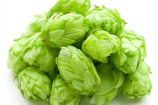 hops