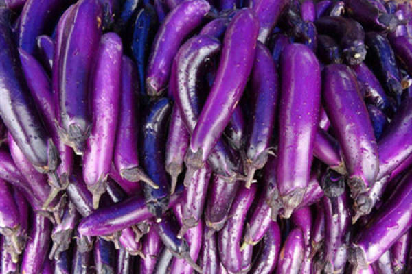 eggplant