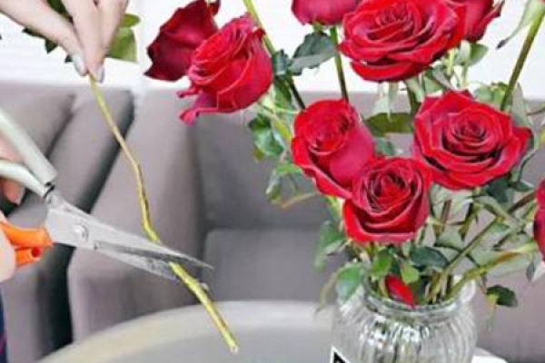 roses