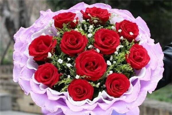 rose