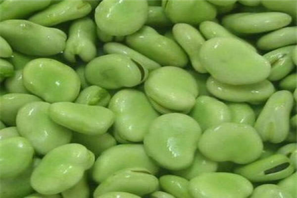 Broad bean