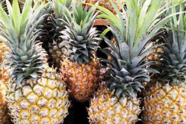 pineapple