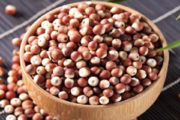 euryale seed