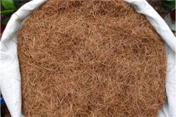 mountain soil