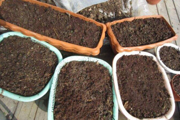 Mountain soil