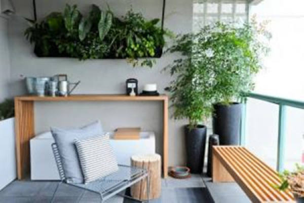 Growing flowers in the bedroom