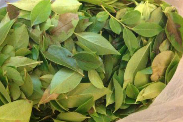 Trim