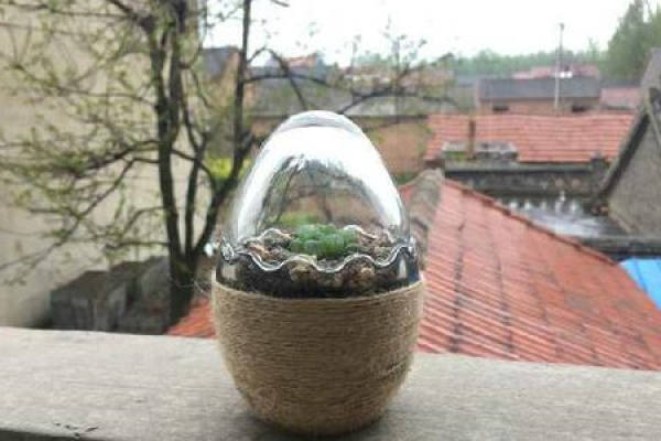 plant stuffy cultivation