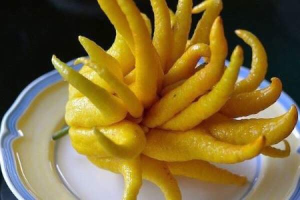Bergamot