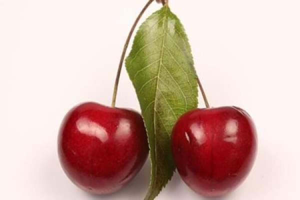 Cherry
