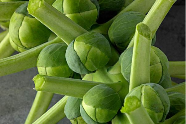 Brussels sprouts