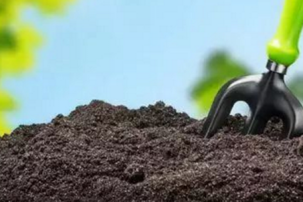 Soil