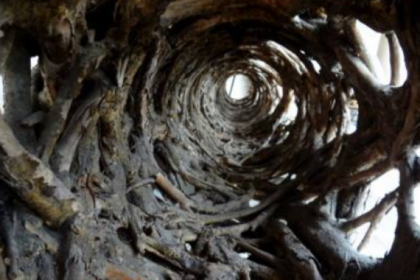 soil