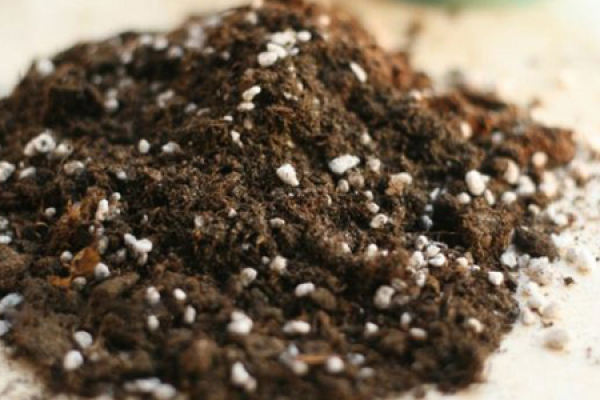 Quality of soil