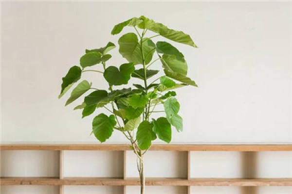 Large Green Planting
