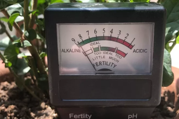 Soil