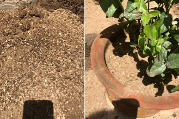 Soil