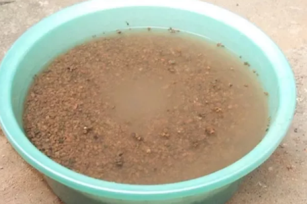 Soil