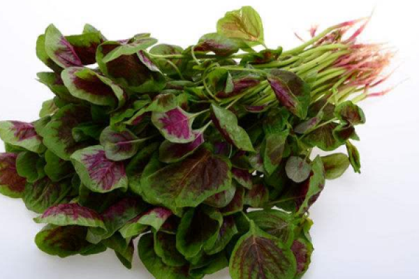 amaranth