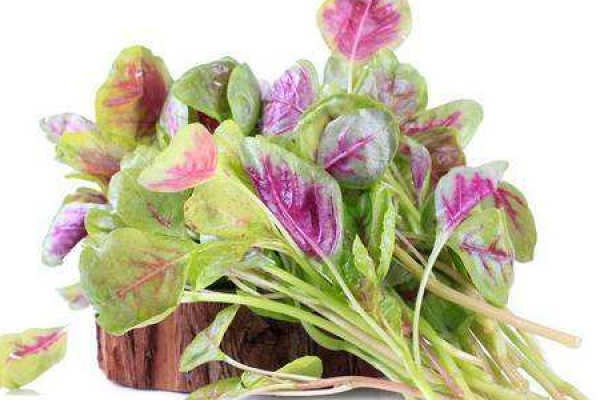Amaranth