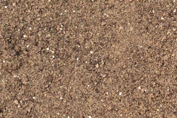 Seedbed