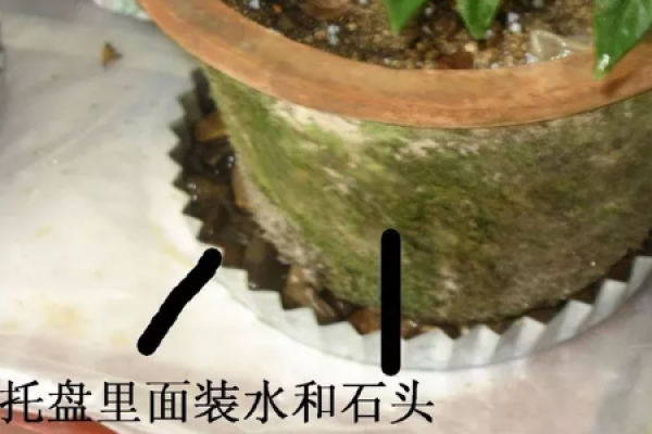 Flowerpots