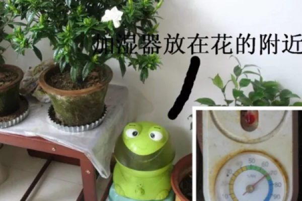 Flowerpots
