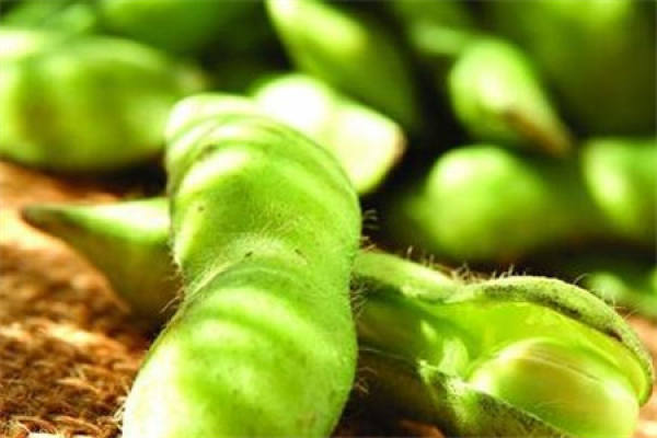Green soy bean